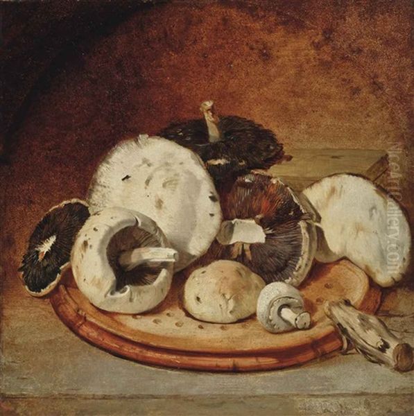 Mushrooms Oil Painting by James Baker Pyne