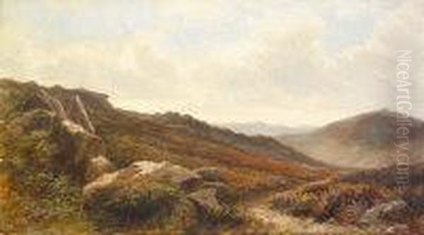 On The Moors, Howth, Co. Dublin Oil Painting by T. Bolton