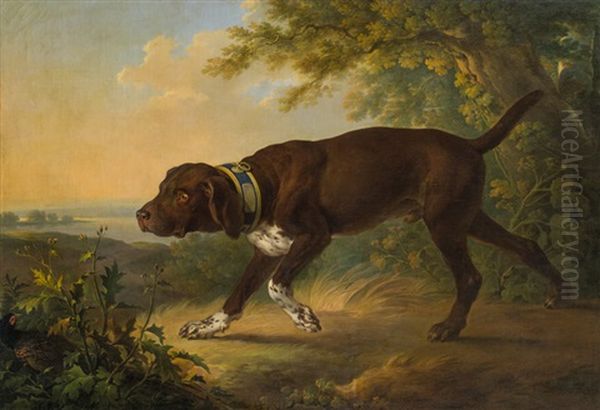 The Hound Of Duke Albert Of Saxony-teschen Oil Painting by Martin Ferdinand Quadal