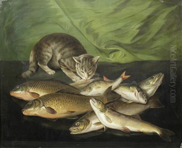 A Crouching Cat With Bream, Salmon, Perch And Trout On A Stone Ledge Oil Painting by Martin Ferdinand Quadal