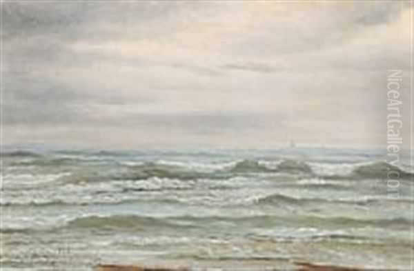 View From Skagen Strand Oil Painting by Peter (Johann P.) Raadsig