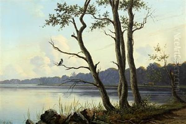 Scenery From The Brink Of A Lake With A Crow In A Tree Oil Painting by Peter (Johann P.) Raadsig