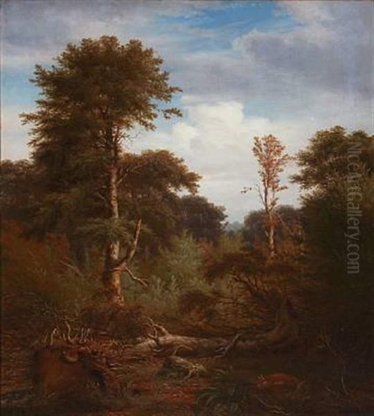 Forest Scene With Tall Trees Oil Painting by Peter (Johann P.) Raadsig