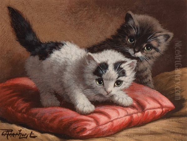 Playing Cats Oil Painting by Cornelis Raaphorst