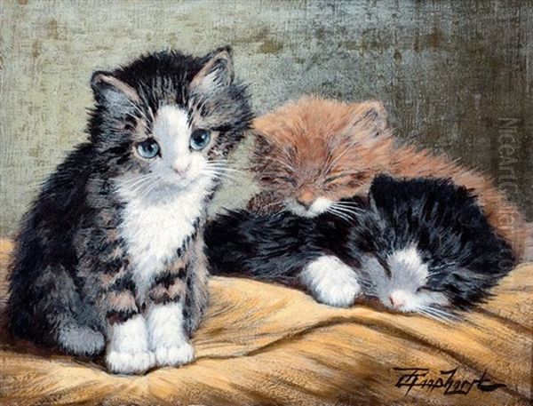 Drie Kittens Oil Painting by Cornelis Raaphorst