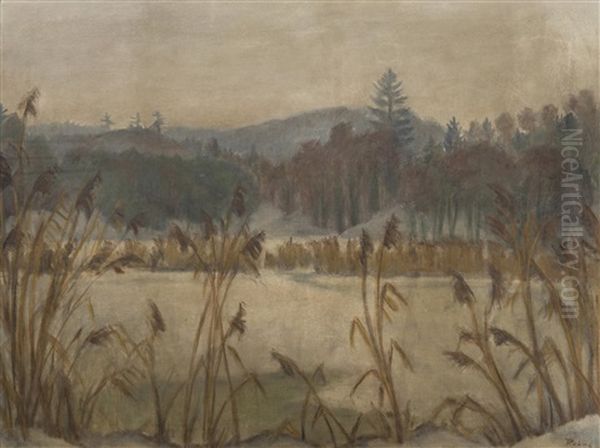 A Pond In The Wintertime Oil Painting by Vaclav Rabas