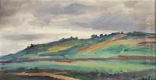 Landscape Under Cloud Oil Painting by Vaclav Rabas