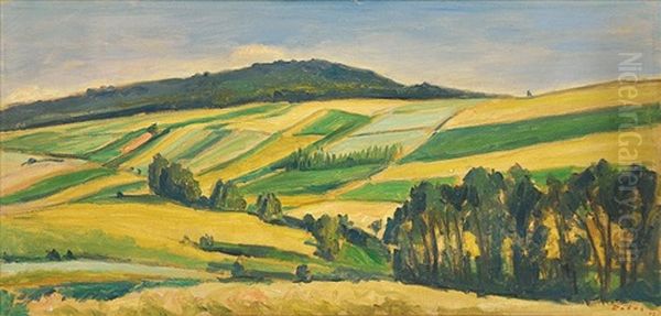 Small Fields Oil Painting by Vaclav Rabas