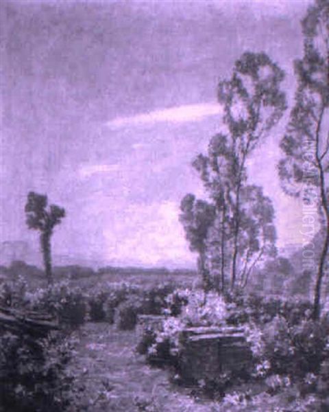 Landschaft Mit Jungen Weiden Oil Painting by Fritz Wilhelm Rabending