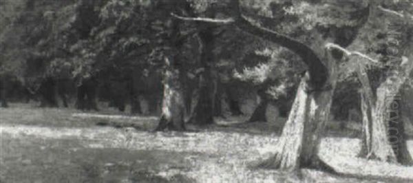 Woodland View With Deer Resting Under The Shade Oil Painting by Charles Walter Radclyffe