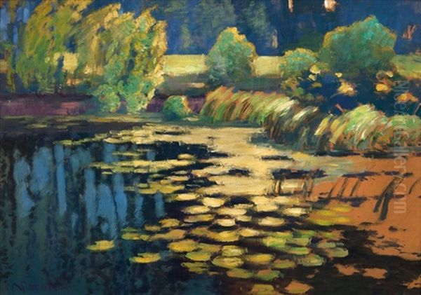 Landscape With A Pond And Water Lilies Oil Painting by Vaclav Radimsky