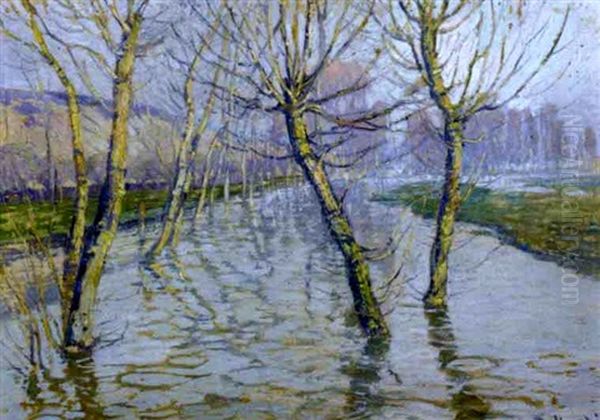 A View Of Trees In A Flooded Field Oil Painting by Wenzel Radimsky