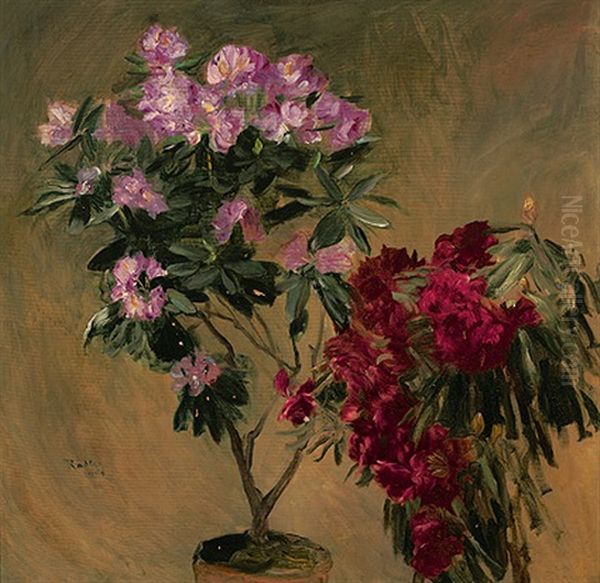 Bluhender Rhododendron Und Azaleen Oil Painting by Friedrich Edler Von Radler