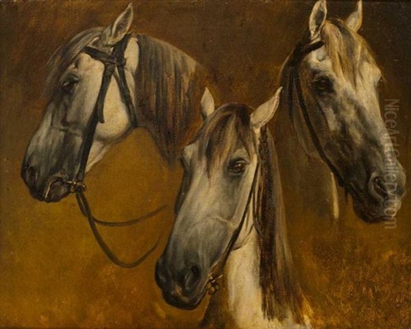 Trois Etudes De Tete De Cheval Gris (study) Oil Painting by Auguste Raffet