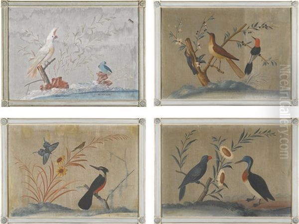 A Set Of Four Paintings Showing Exotic Birds In Landscapes Oil Painting by Carlo Antonio Raineri