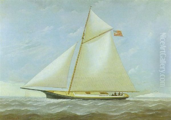 Portrait Of The Young American Yacht 