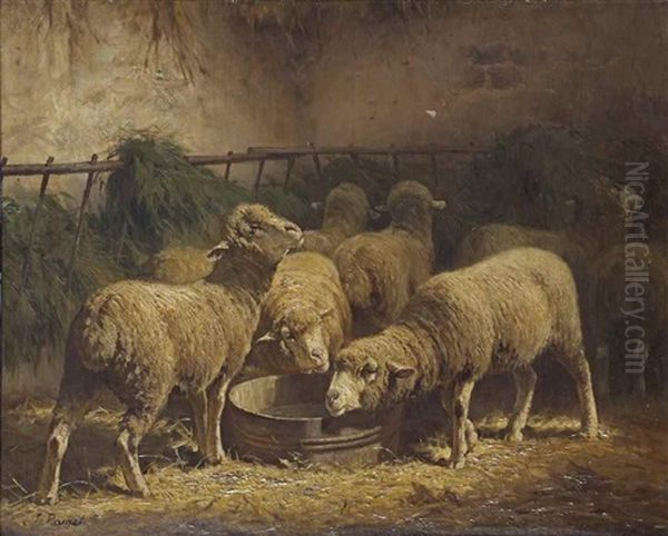 Sheep In A Stable Oil Painting by Jules Ramet