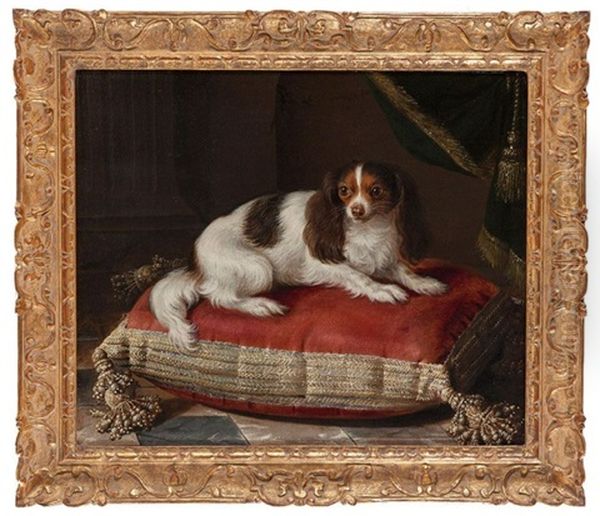 Portrait De La Chienne Du Roi Philippe V Oil Painting by Jean Ranc