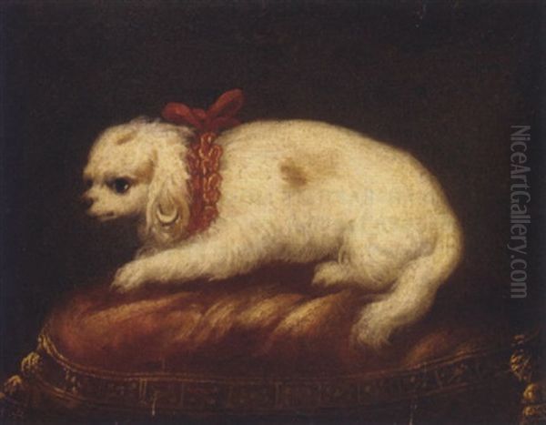 A Spaniel On An Embroidered Red Cushion Oil Painting by Jean Ranc