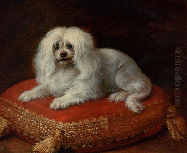 A Spaniel On A Cushion Oil Painting by Jean Ranc