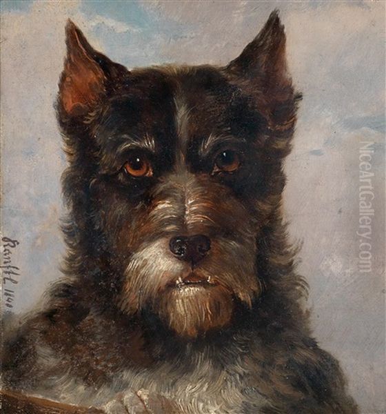 Hundeportrait Oil Painting by Johann Matthias Ranftl