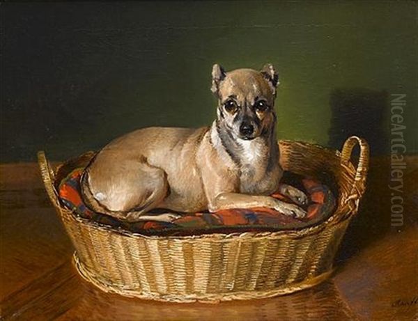 A Toy Terrier Oil Painting by Johann Matthias Ranftl