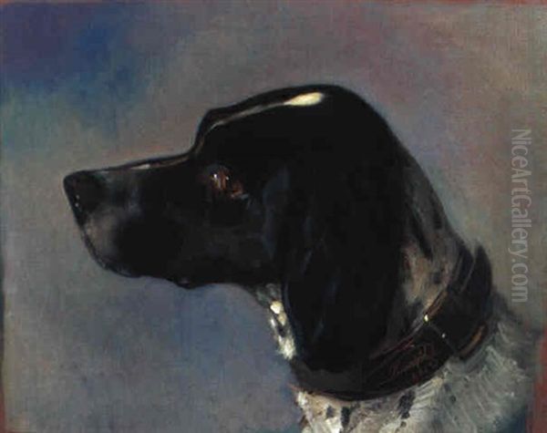 Kopf Eines Jagdhundes Oil Painting by Johann Matthias Ranftl