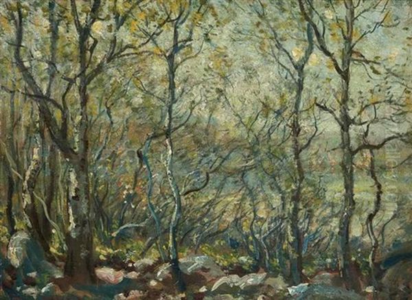 Birches In A Sunlit Glade Oil Painting by Henry Ward Ranger