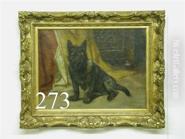 Portrait Of A Dog In Front Of Drape And Chest Oil Painting by William Bruce Ellis Ranken