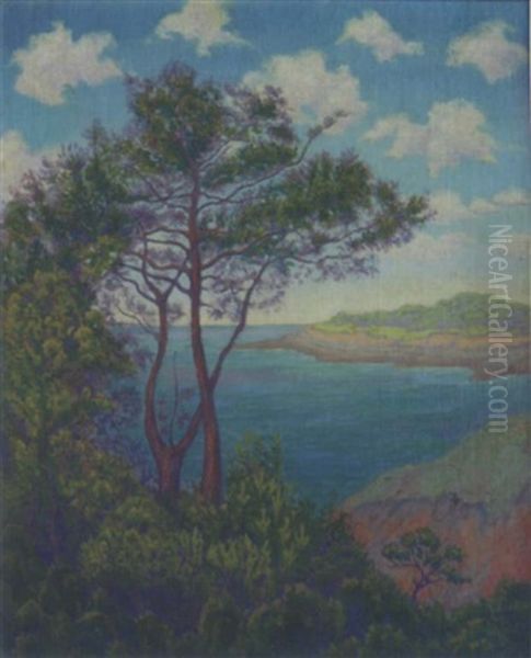 Paysage Maritime A L'arbre Double Oil Painting by Paul Elie Ranson