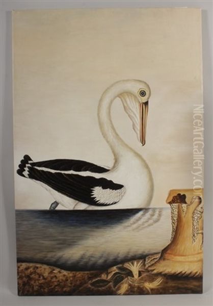 Australian White Pelican Oil Painting by George Raper