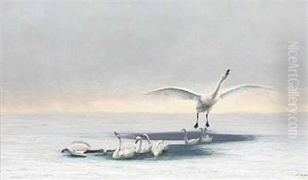 Winter Scenery With Swans Oil Painting by Carl (Jens Erik C.) Rasmussen