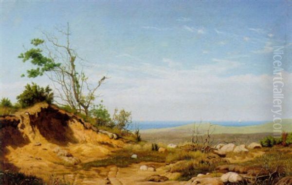 Kystparti Med Tilgroet Sandbanke, I Baggrunden Sejlskibe Pa Havet Oil Painting by Carl (Jens Erik C.) Rasmussen