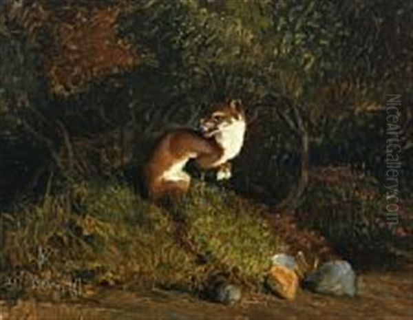 A Marten On The Forest Floor Oil Painting by Niels Peter Rasmussen