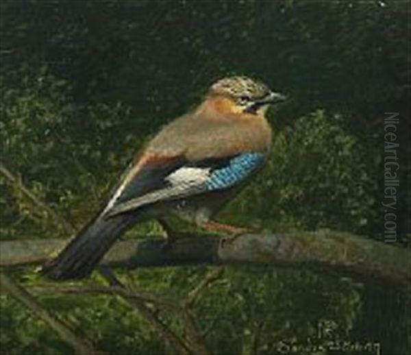 Jay Oil Painting by Niels Peter Rasmussen