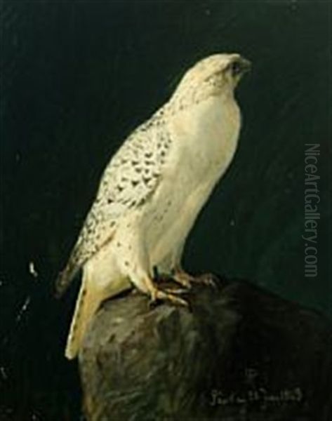 Icelandic Falcon Oil Painting by Niels Peter Rasmussen