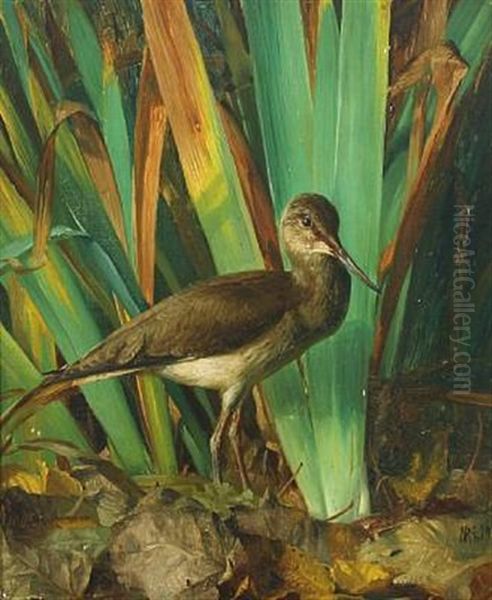 A Female Ruff Oil Painting by Niels Peter Rasmussen