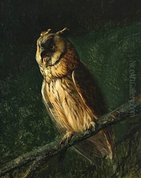 An Owl On A Branch Oil Painting by Niels Peter Rasmussen