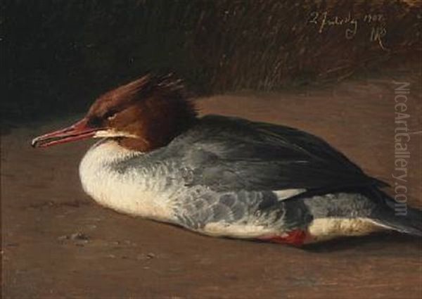 A Merganser Oil Painting by Niels Peter Rasmussen