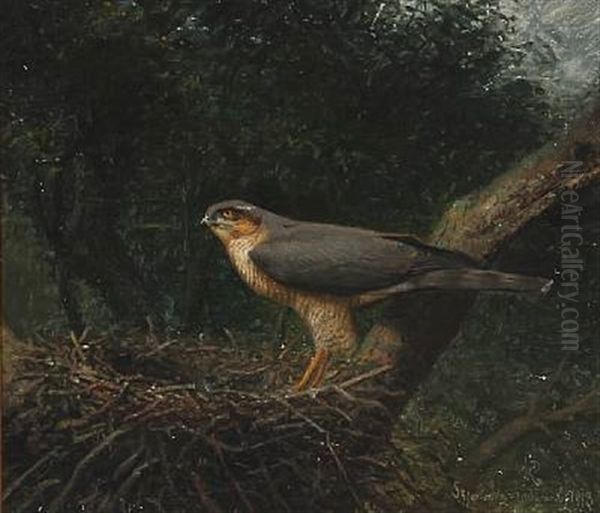 An Goshawk In Its Nest Oil Painting by Niels Peter Rasmussen