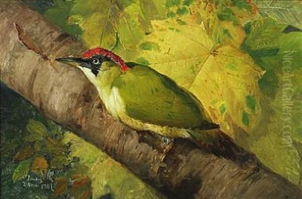 Green Woodpecker On A Branch Oil Painting by Niels Peter Rasmussen