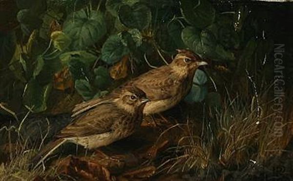 Two Sparrows In A Forest Floor Oil Painting by Niels Peter Rasmussen