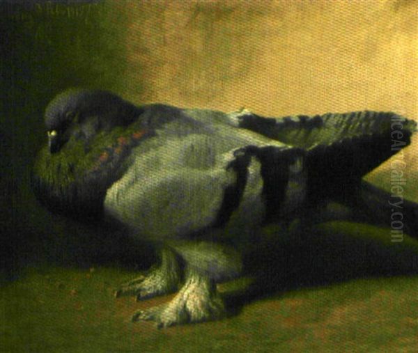 Pigeon Oil Painting by Niels Peter Rasmussen