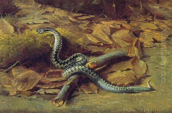 Le Serpent Oil Painting by Niels Peter Rasmussen