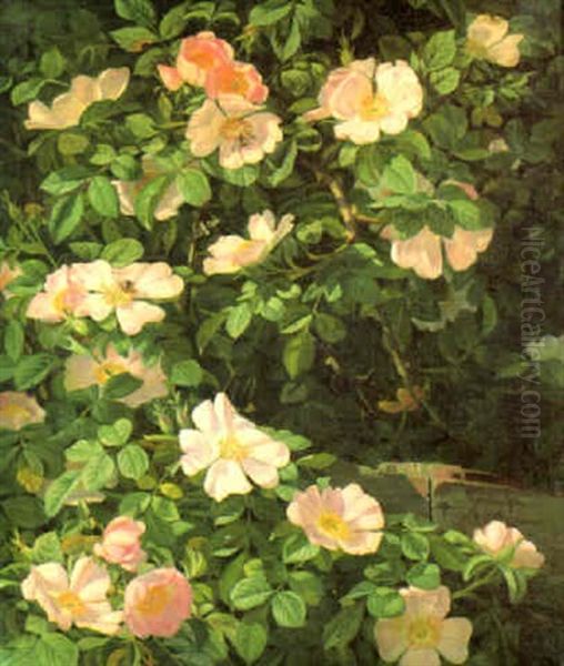 Dog Roses Oil Painting by Niels Peter Rasmussen