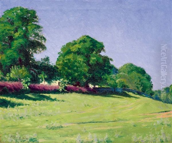 Green Meadow Oil Painting by Peter Ratz