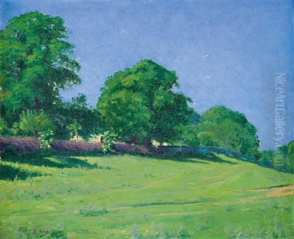 Verdant Meadow Oil Painting by Peter Ratz