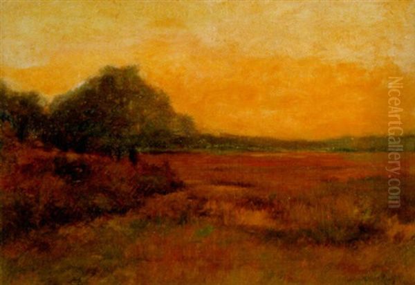 Sunlit Meadow Oil Painting by John Willard Raught