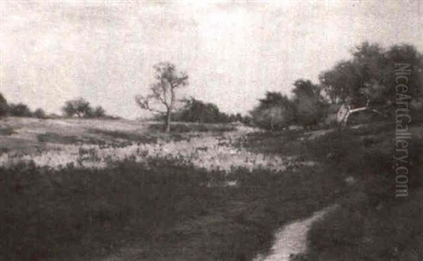 Meadow Brook Oil Painting by John Willard Raught