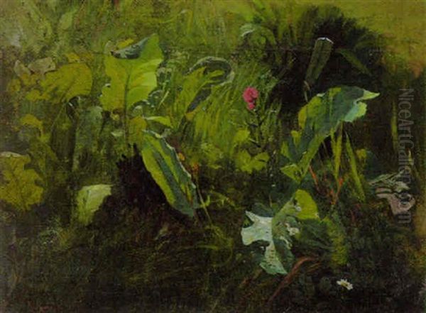 Wiesenstuck Mit Einer Rosa Blutenstaude Oil Painting by Karl Raupp